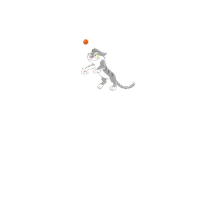 Curious Cat Email notifier